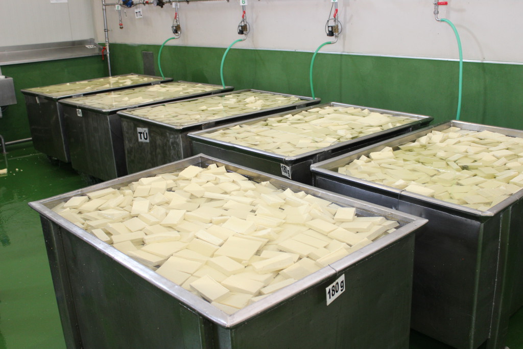 Mesačne vyprodukuje Alfa Bio desiatky ton tofu. (Foto: Michaela Kolimárová)