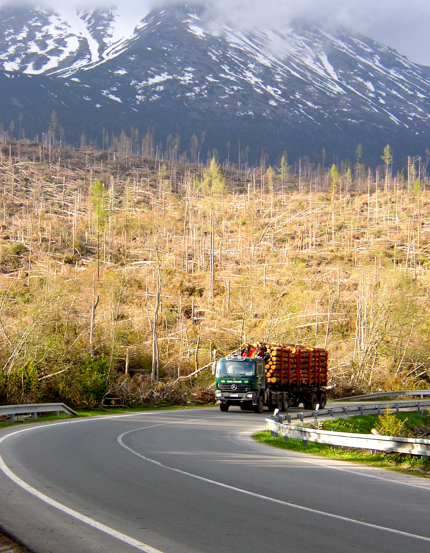 Územie Vysokých Tatier zasiahnuté veternou smršťou bolo dlhé 50 a široké 5 kilometrov. (Foto: Pavel Kapusta) 