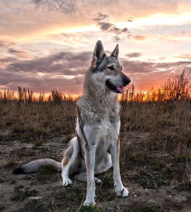 Foto: archív