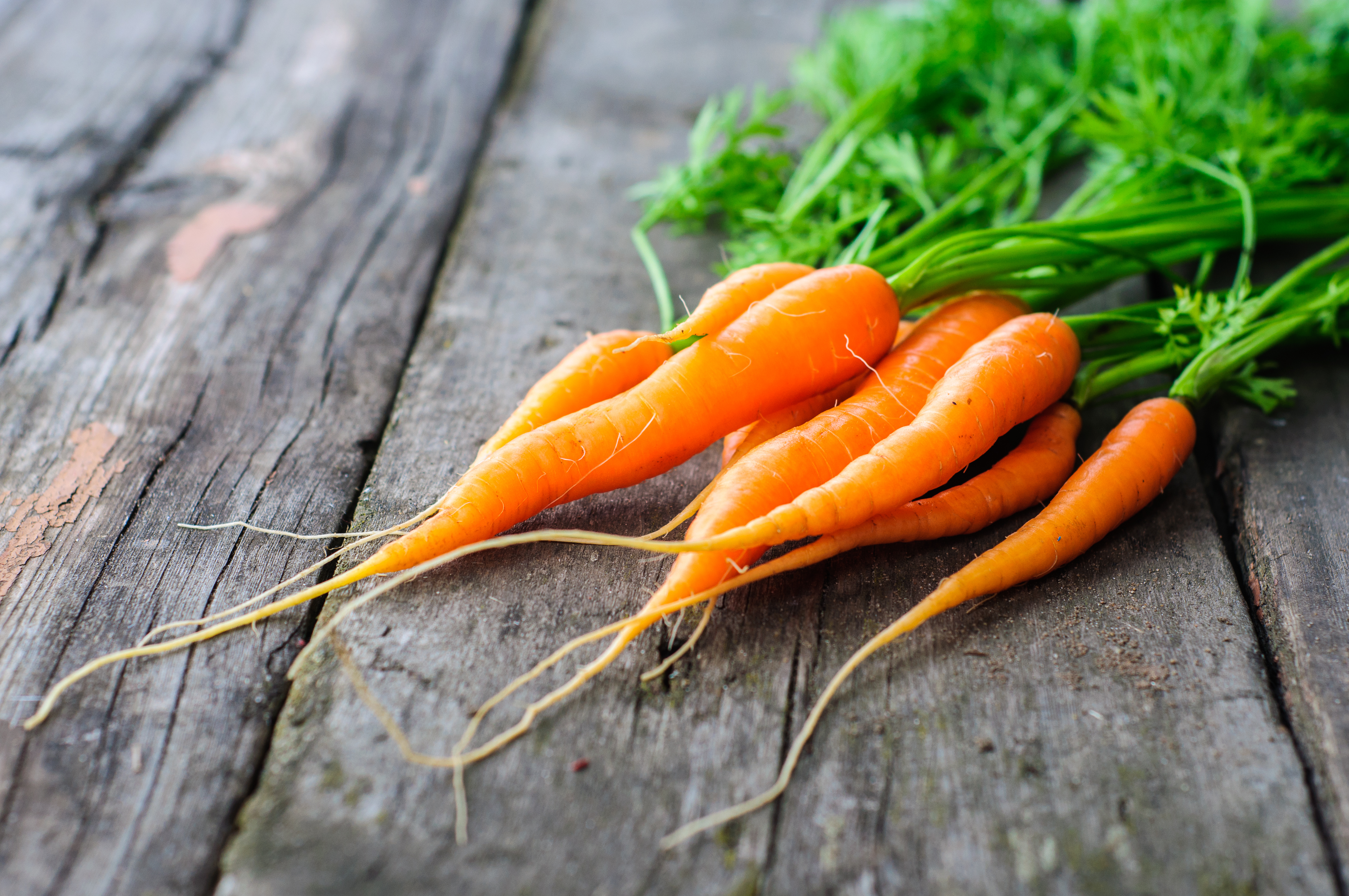 Морковь относится к группе. Морковь Нандрин. Морковь с ботвой. Морковь фон.